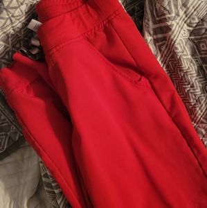 Pop Red Figs Zamora Bottoms